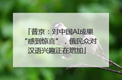 普京：对中国AI成果“感到惊喜”，俄民众对汉语兴趣正在增加